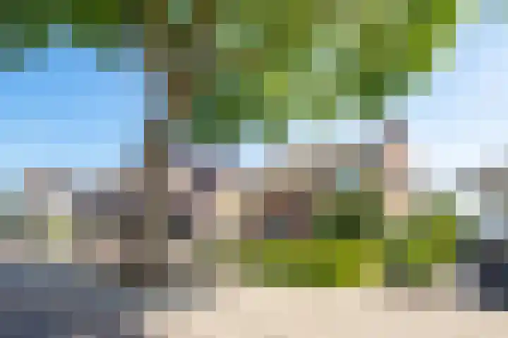 Ruijtersweg 7 Echt thumbnail 28