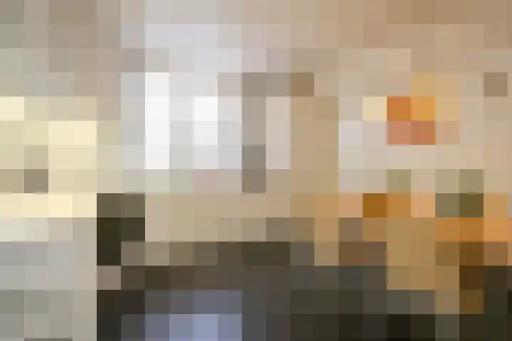 Ruijtersweg 7 Echt thumbnail 9