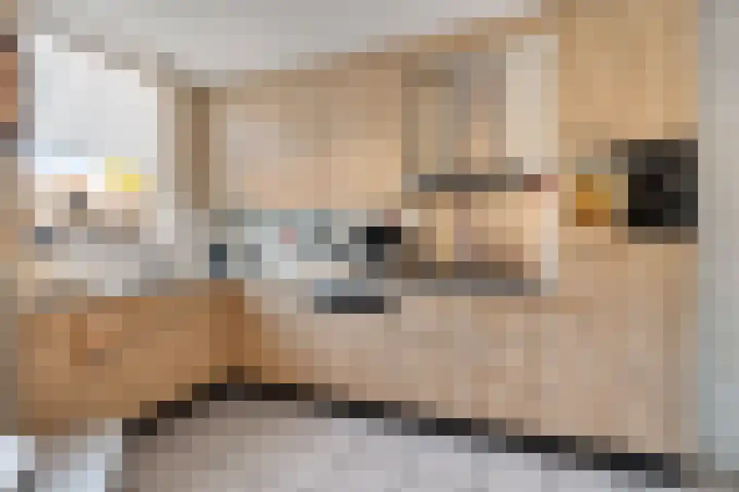 Ruilebuiter 23 Oss thumbnail 15