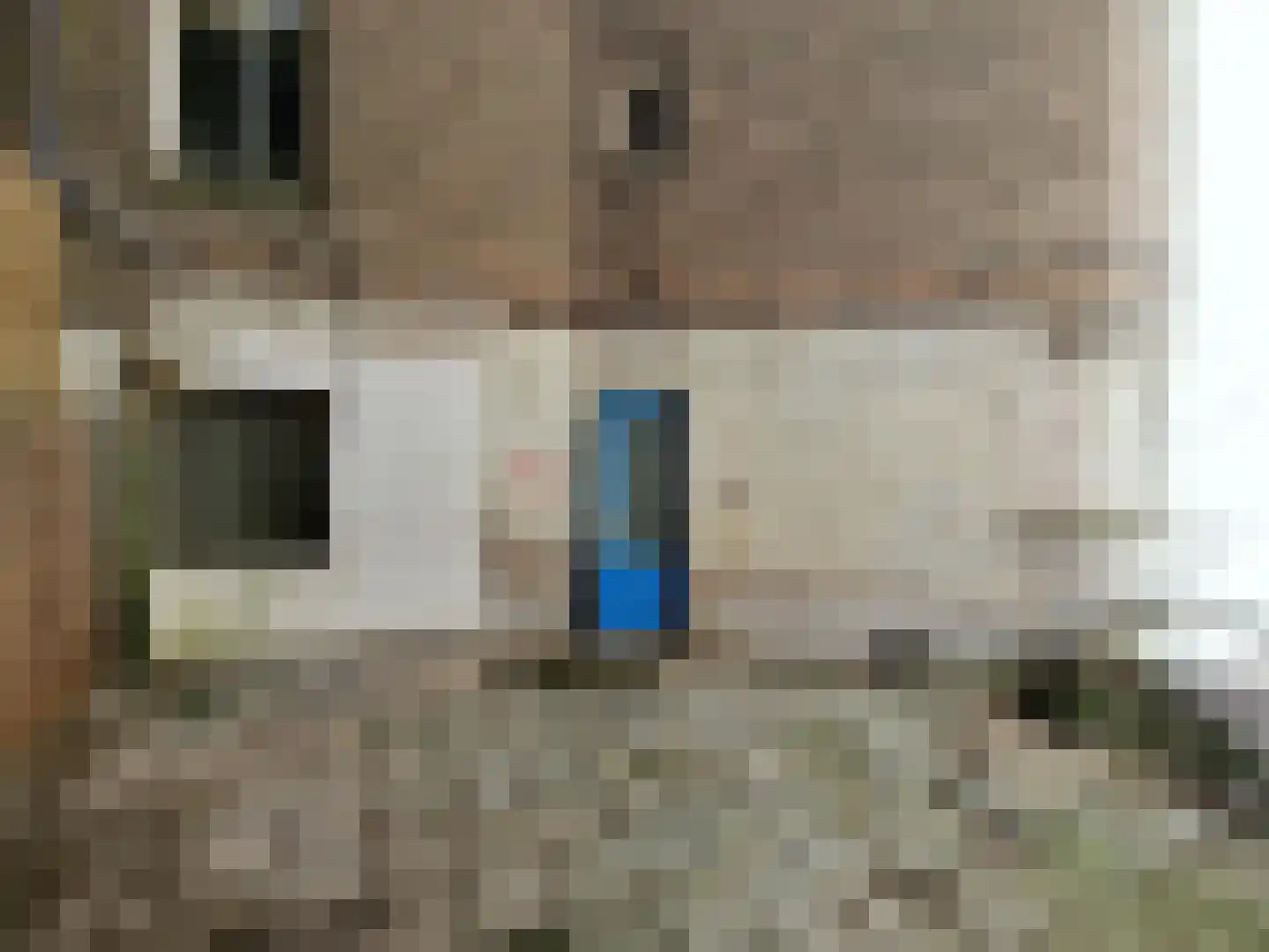 Ruilstraat 4 A Rotterdam thumbnail 6