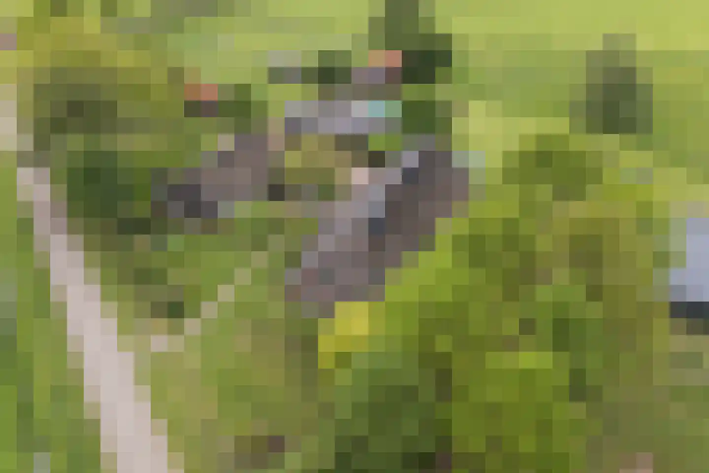 Ruilverkavelingsweg 4 Neede