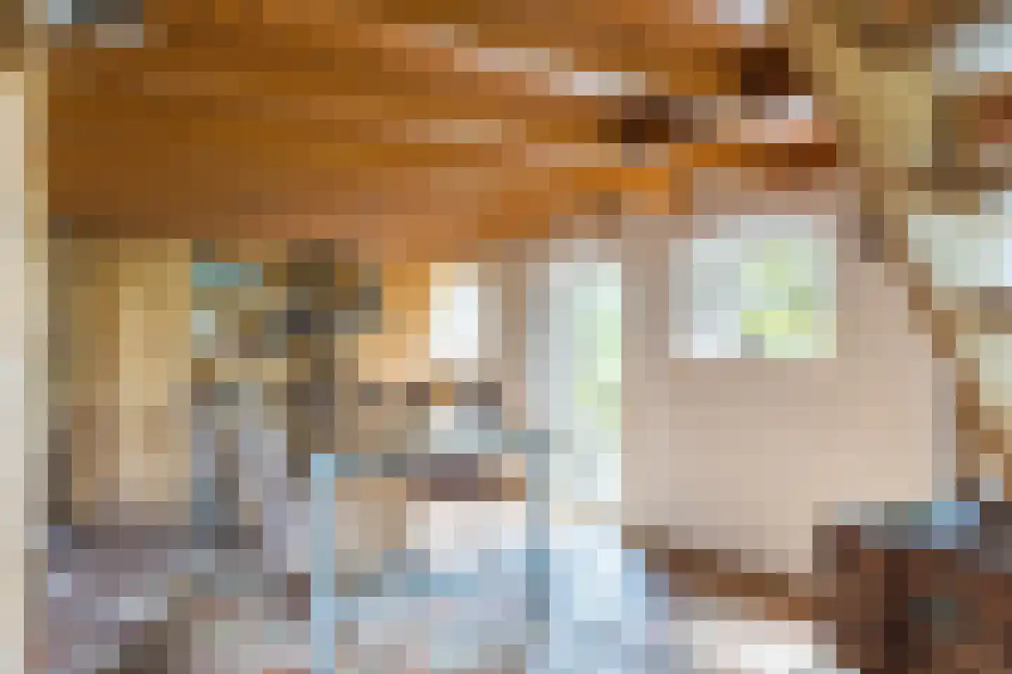 Ruilverkavelingsweg 4 Neede thumbnail 12