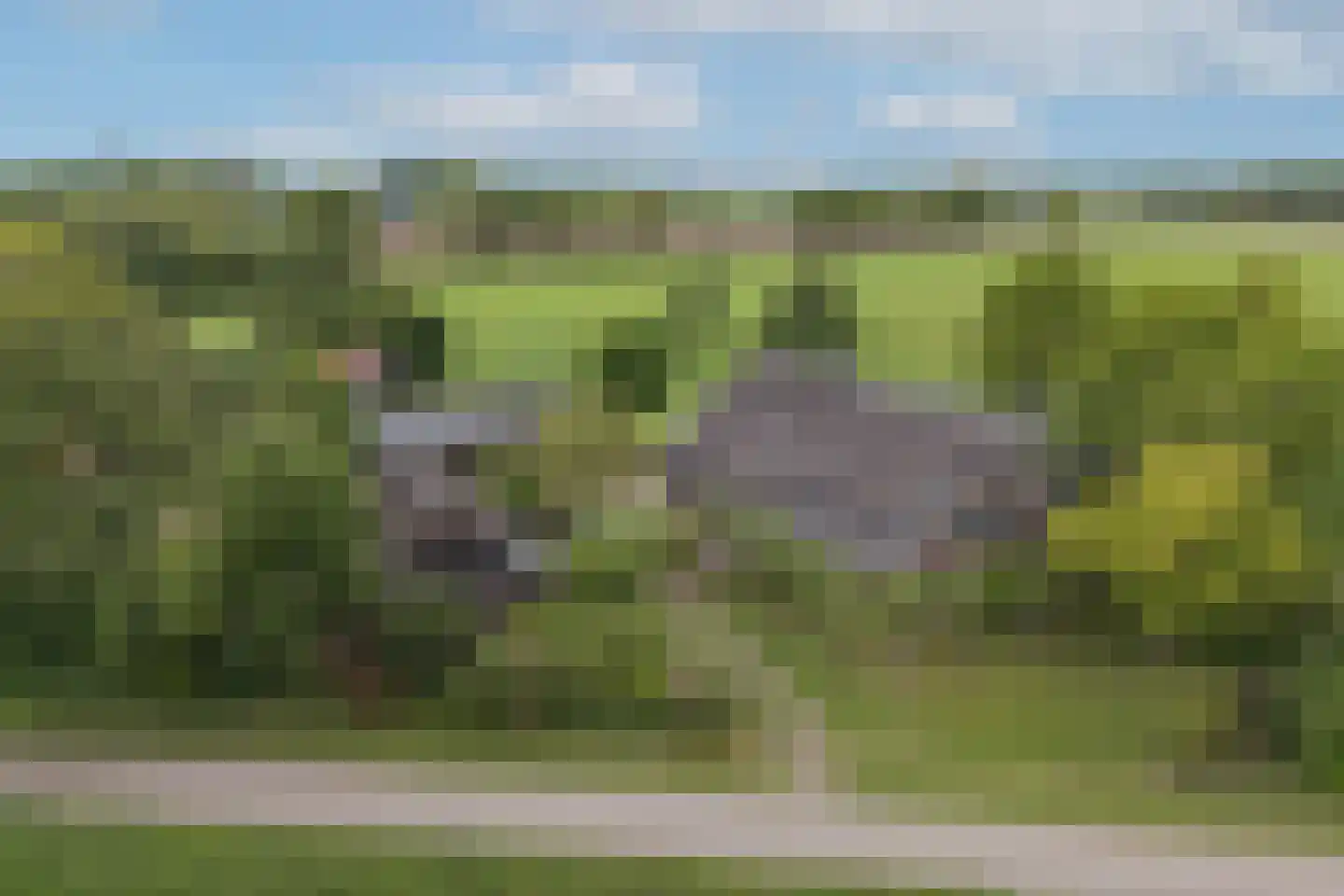 Ruilverkavelingsweg 4 Neede foto 2
