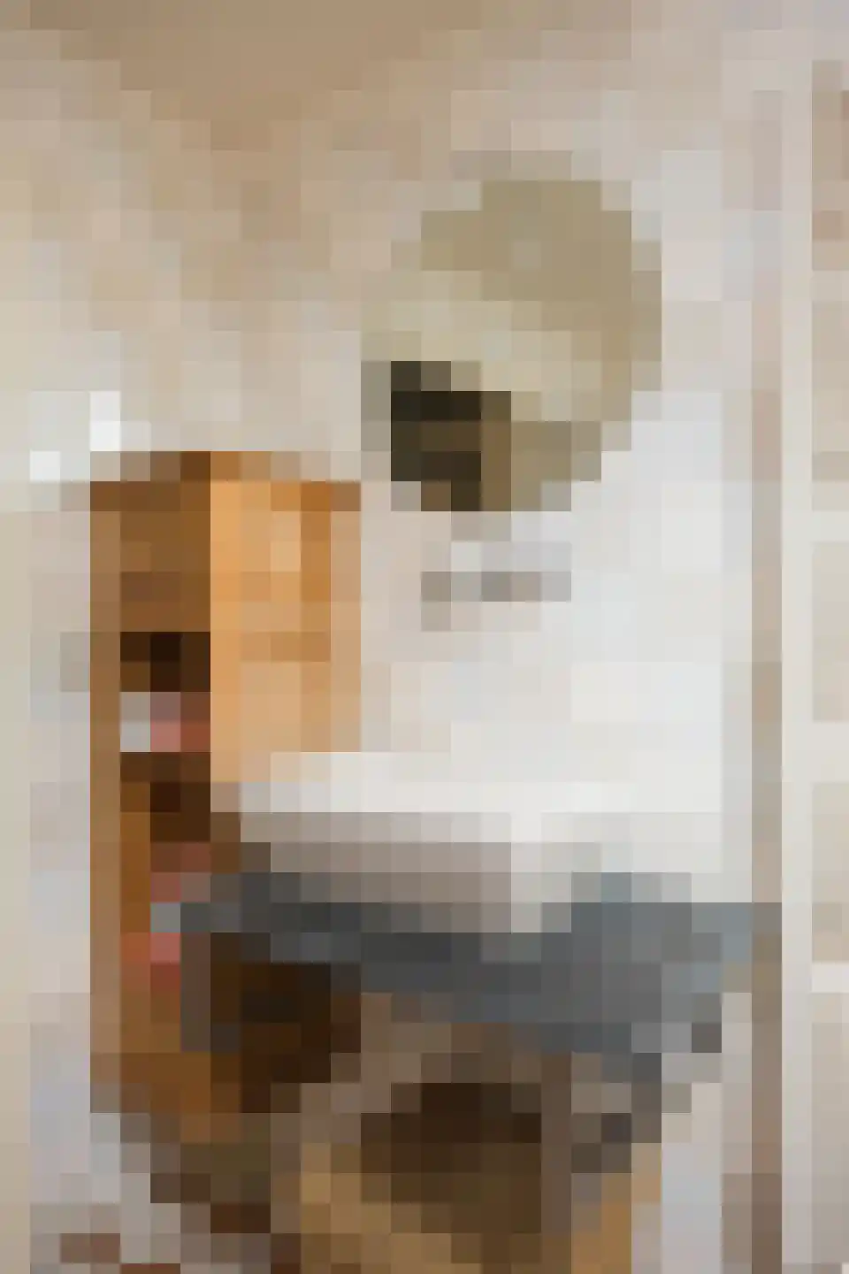 Ruilverkavelingsweg 4 Neede thumbnail 27