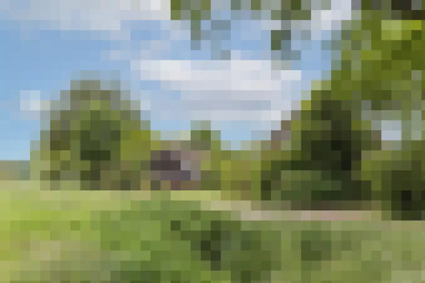 Ruilverkavelingsweg 4 Neede thumbnail 4