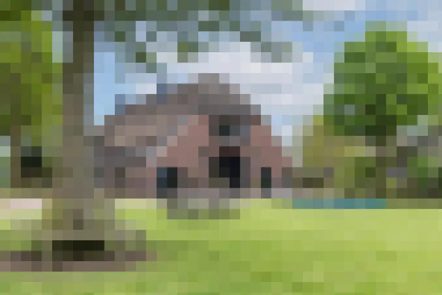Ruilverkavelingsweg 4 Neede thumbnail 41