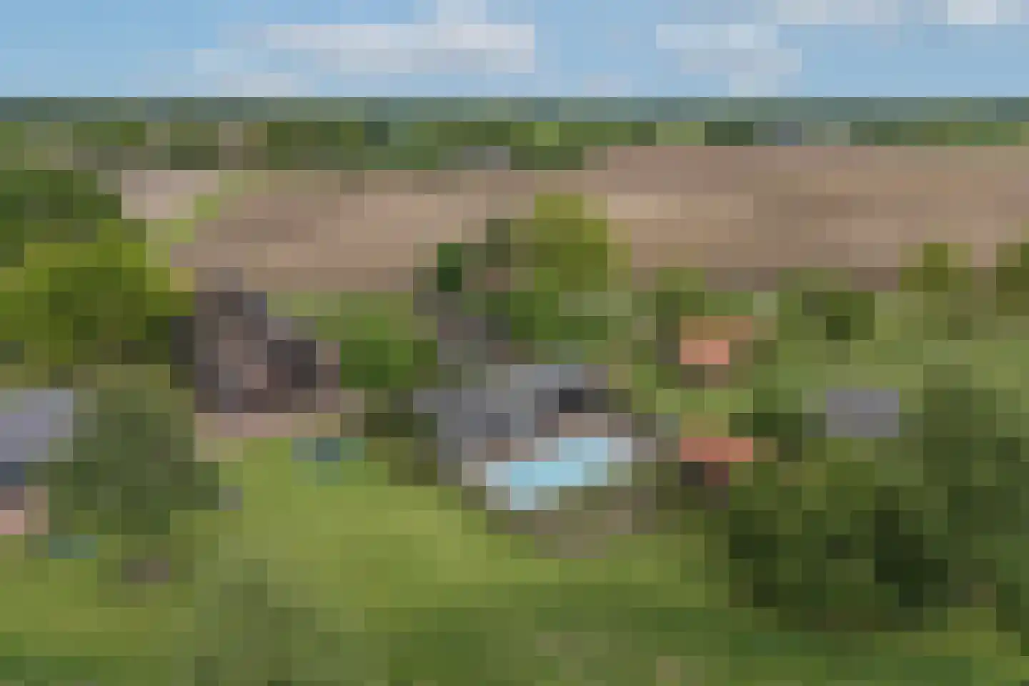 Ruilverkavelingsweg 4 Neede thumbnail 43