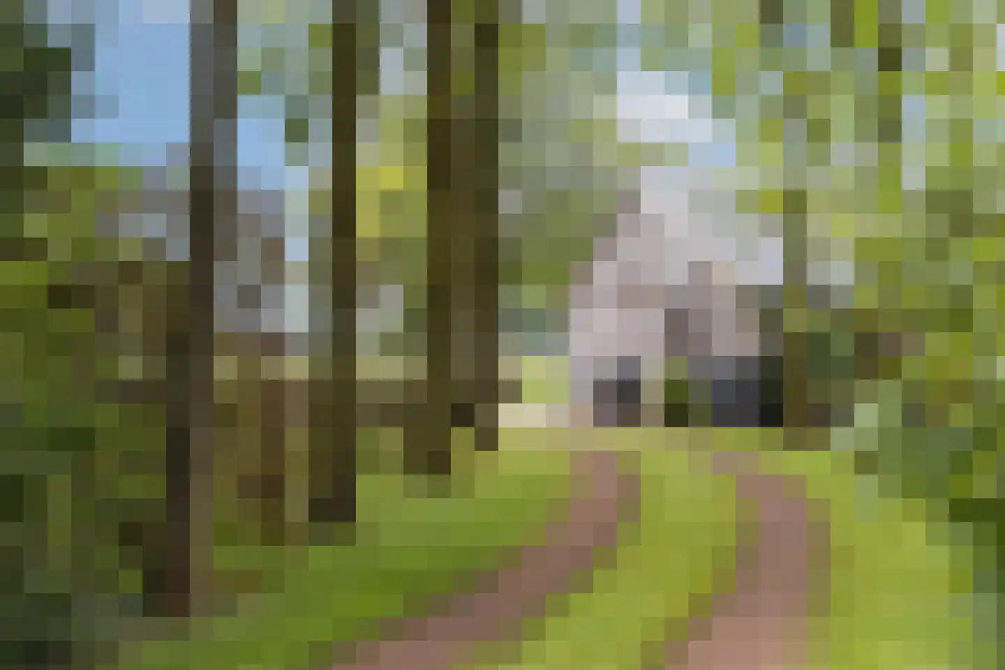Ruilverkavelingsweg 4 Neede thumbnail 46