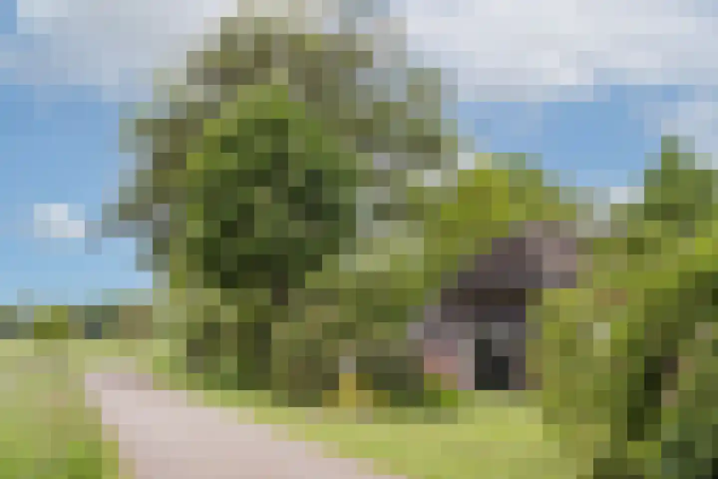 Ruilverkavelingsweg 4 Neede thumbnail 59
