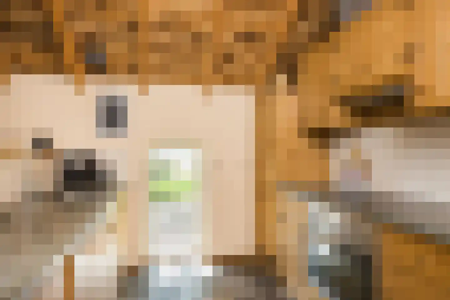Ruilverkavelingsweg 4 Neede thumbnail 66