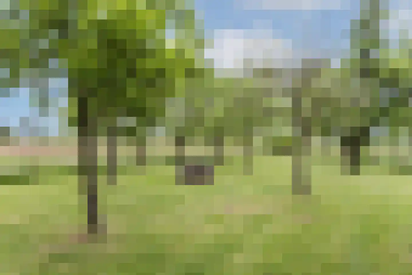 Ruilverkavelingsweg 4 Neede thumbnail 72