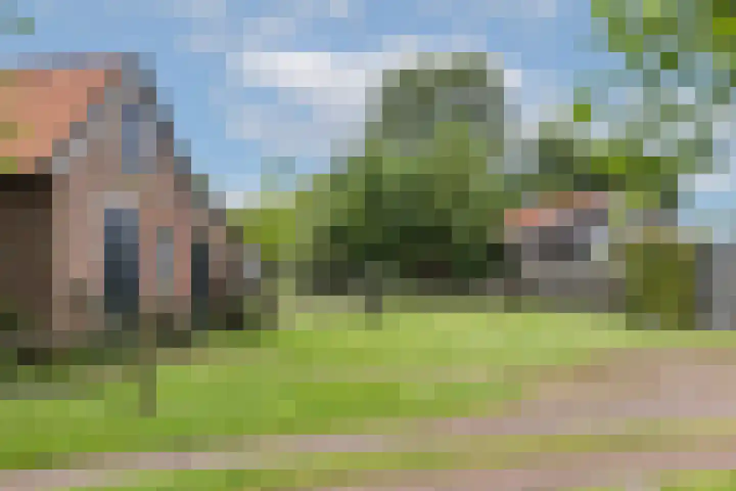 Ruilverkavelingsweg 4 Neede thumbnail 74