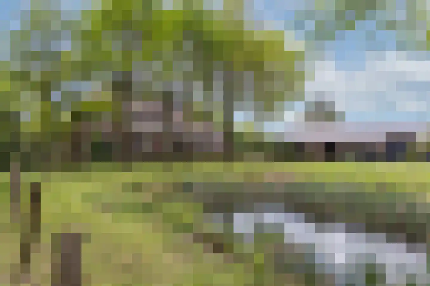 Ruilverkavelingsweg 4 Neede thumbnail 78
