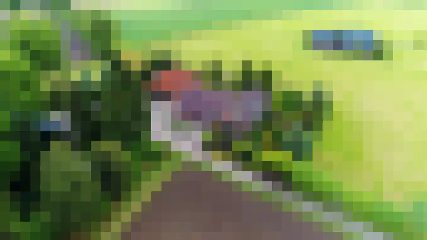 Ruilverkavelingsweg 8 Neede