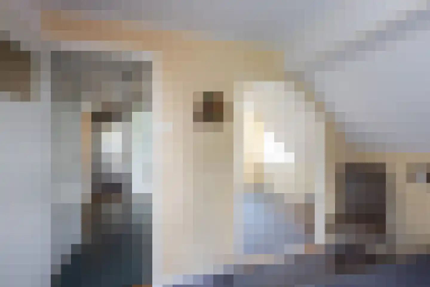 Ruilverkavelingsweg 8 Neede thumbnail 19