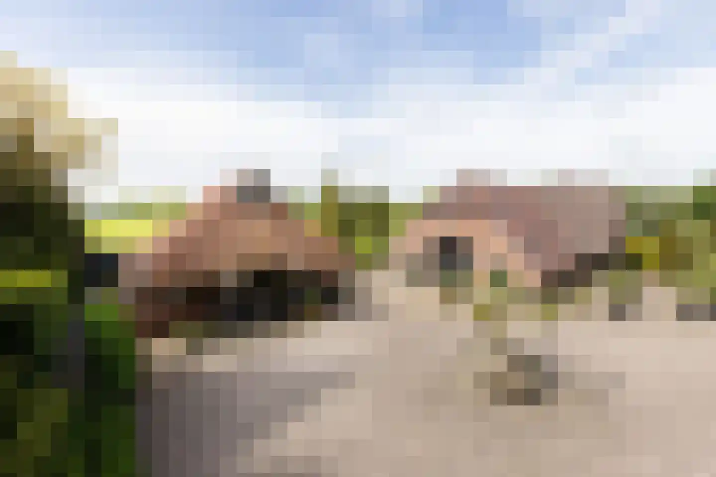 Ruilverkavelingsweg 8 Neede foto 2