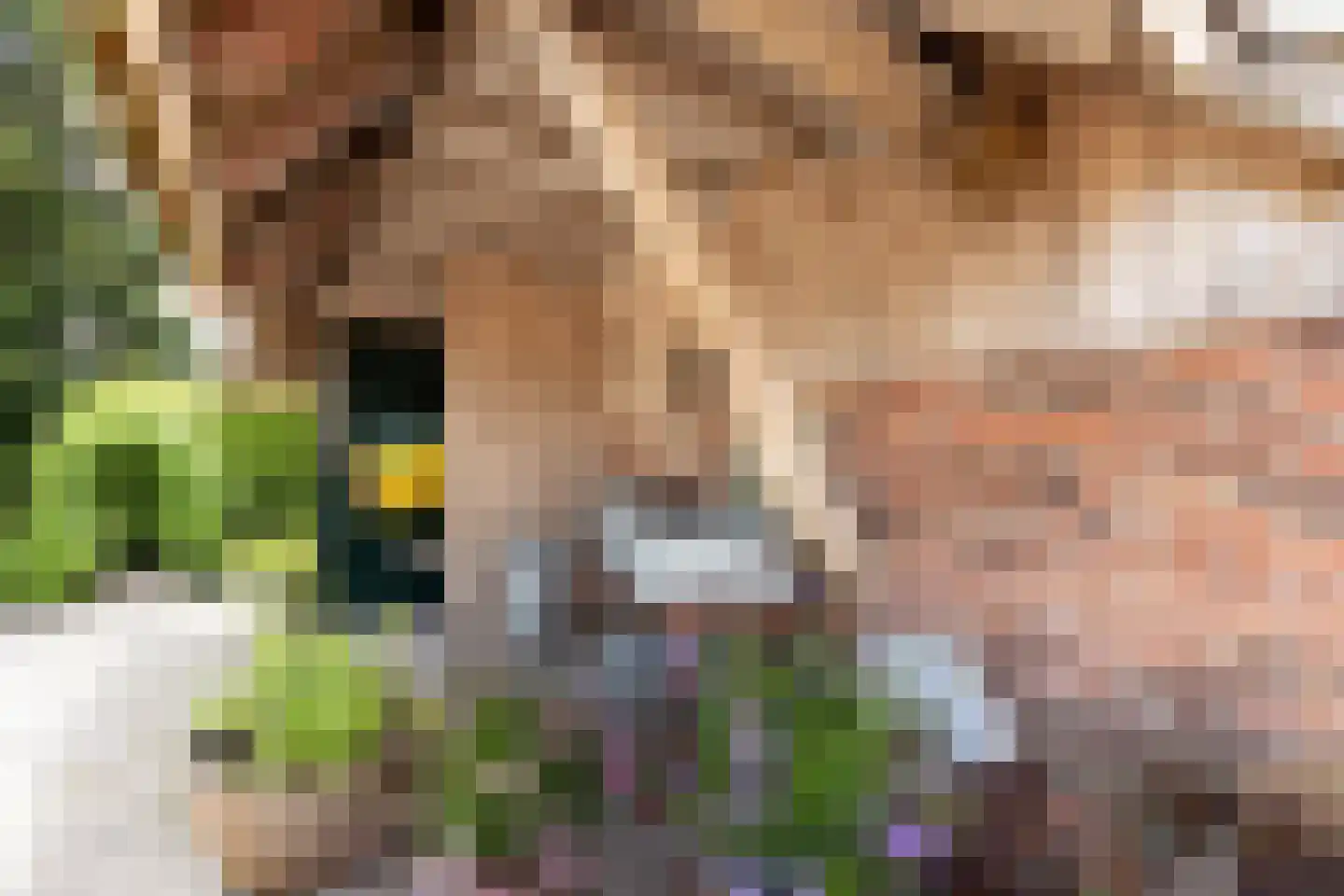 Ruilverkavelingsweg 8 Neede thumbnail 22