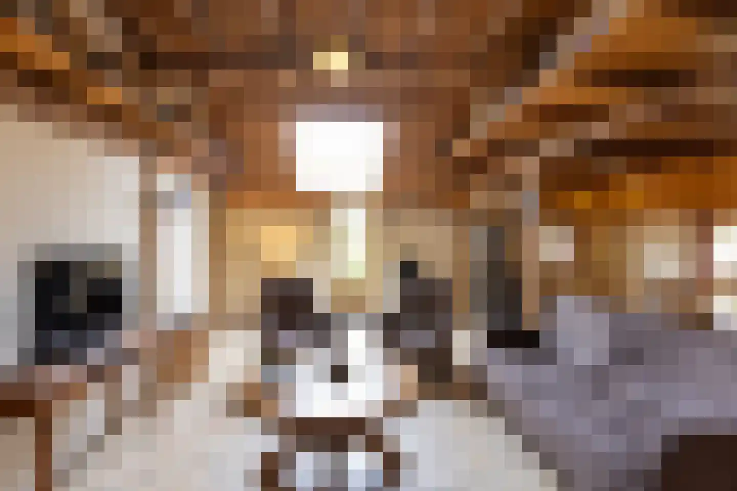 Ruilverkavelingsweg 8 Neede thumbnail 23