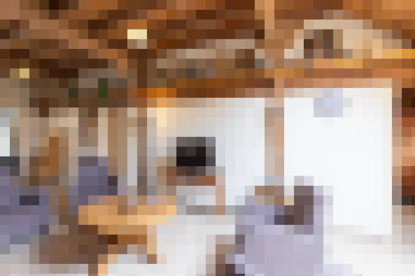 Ruilverkavelingsweg 8 Neede thumbnail 24