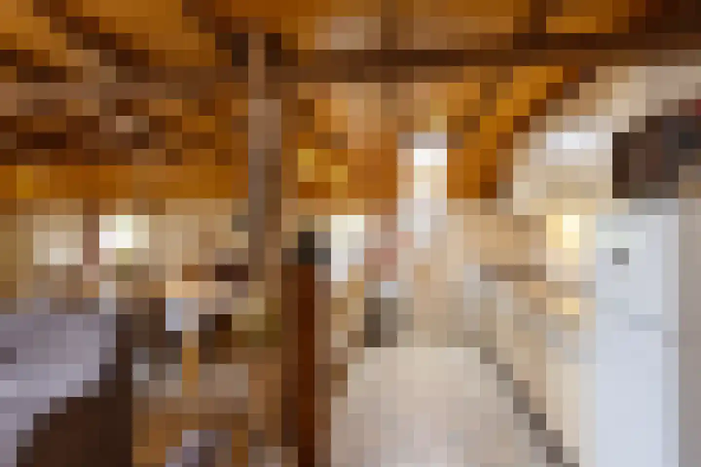 Ruilverkavelingsweg 8 Neede thumbnail 28