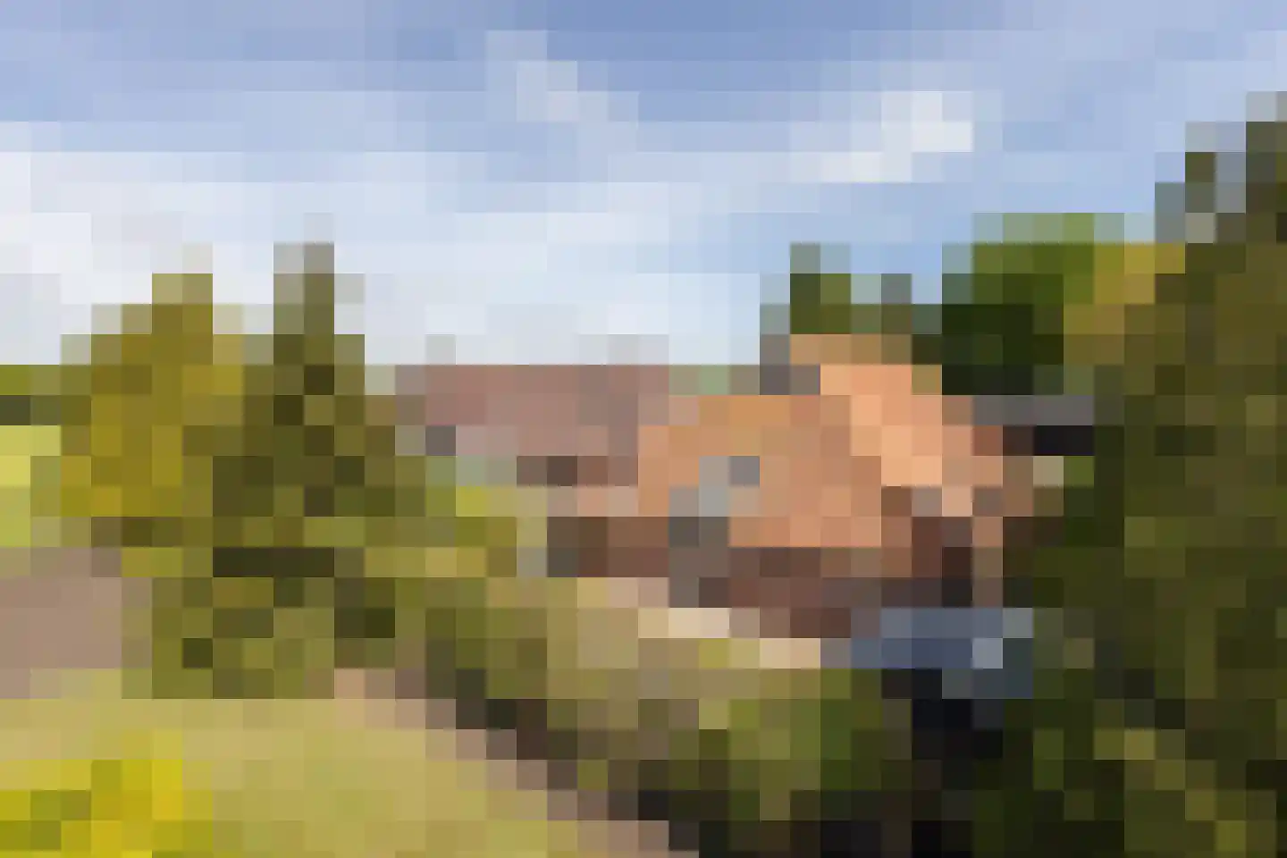 Ruilverkavelingsweg 8 Neede thumbnail 39