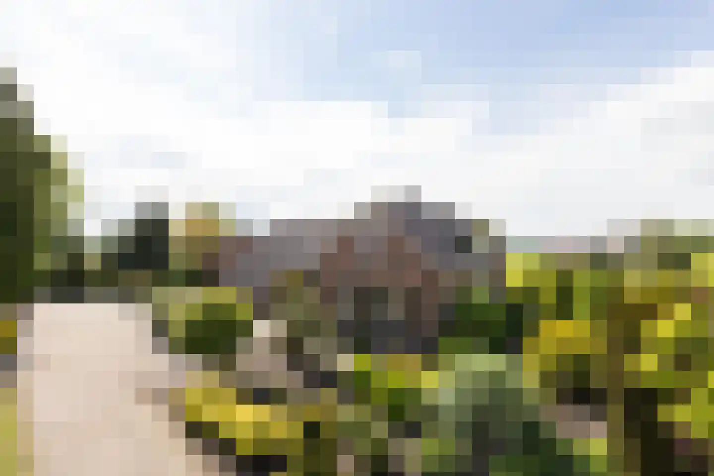 Ruilverkavelingsweg 8 Neede thumbnail 4