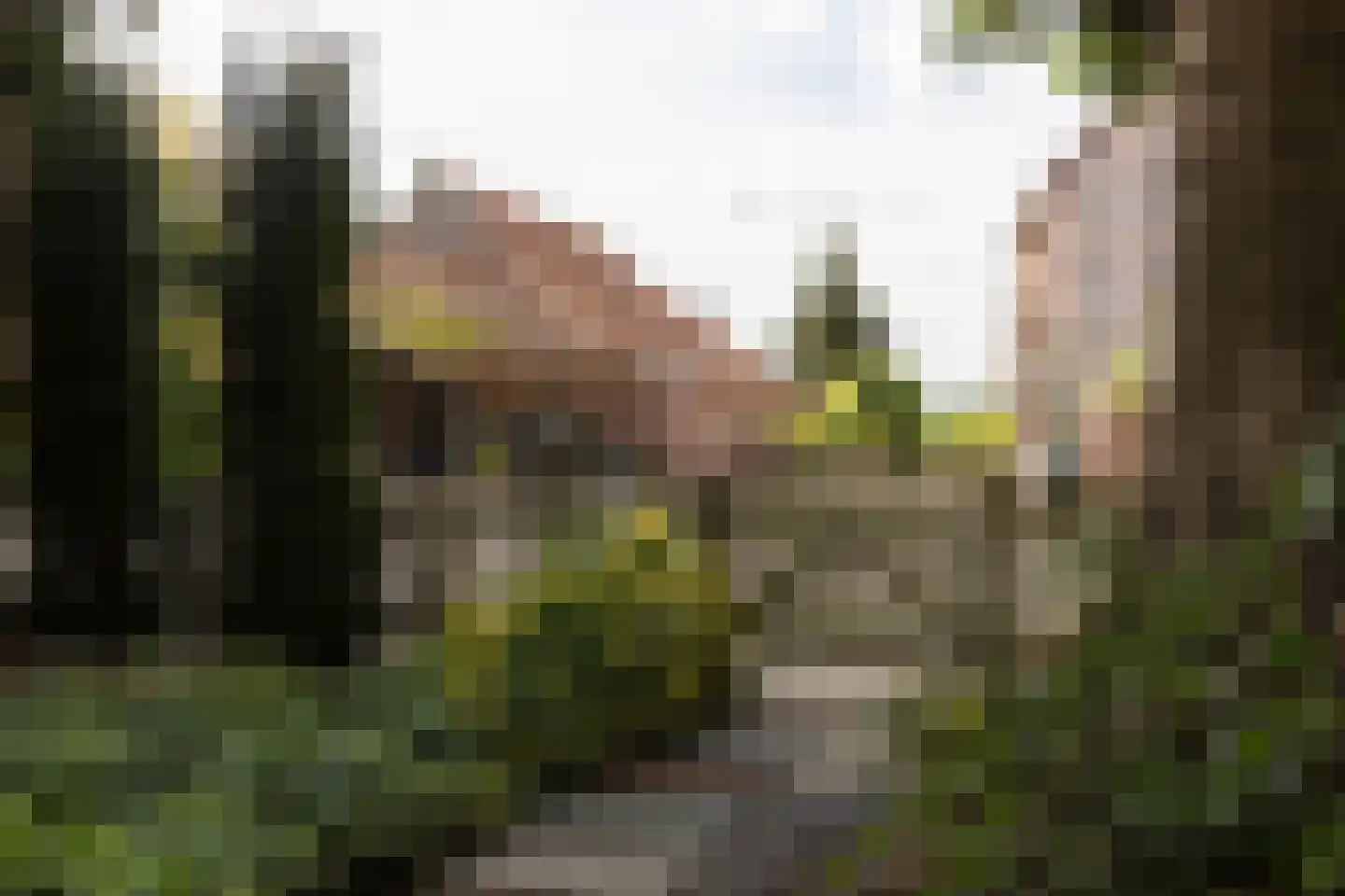 Ruilverkavelingsweg 8 Neede thumbnail 40