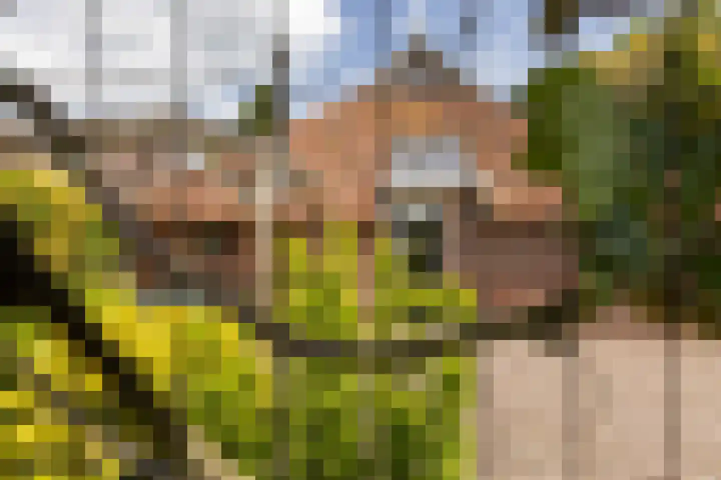 Ruilverkavelingsweg 8 Neede thumbnail 41
