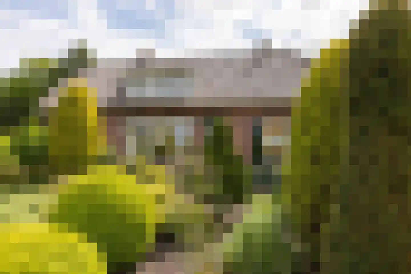 Ruilverkavelingsweg 8 Neede thumbnail 43