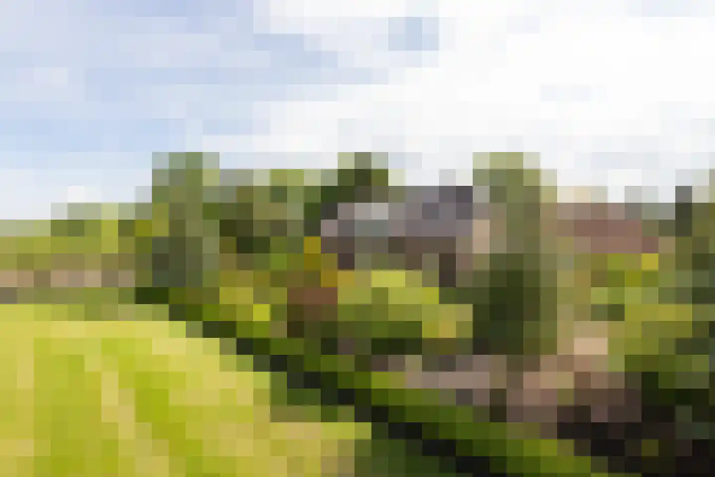 Ruilverkavelingsweg 8 Neede thumbnail 44