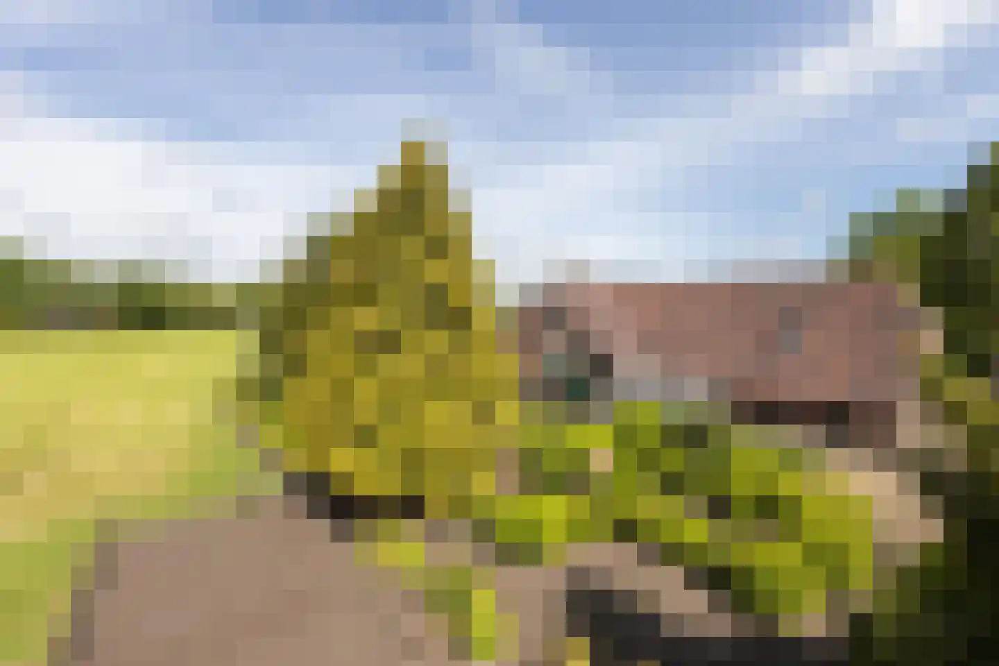 Ruilverkavelingsweg 8 Neede thumbnail 45