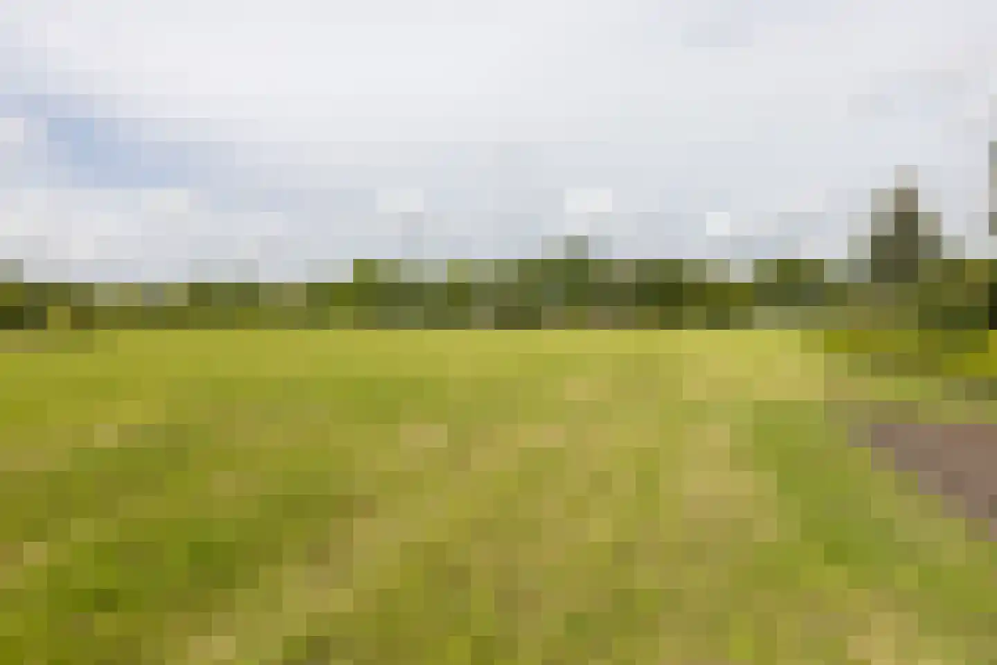 Ruilverkavelingsweg 8 Neede thumbnail 46