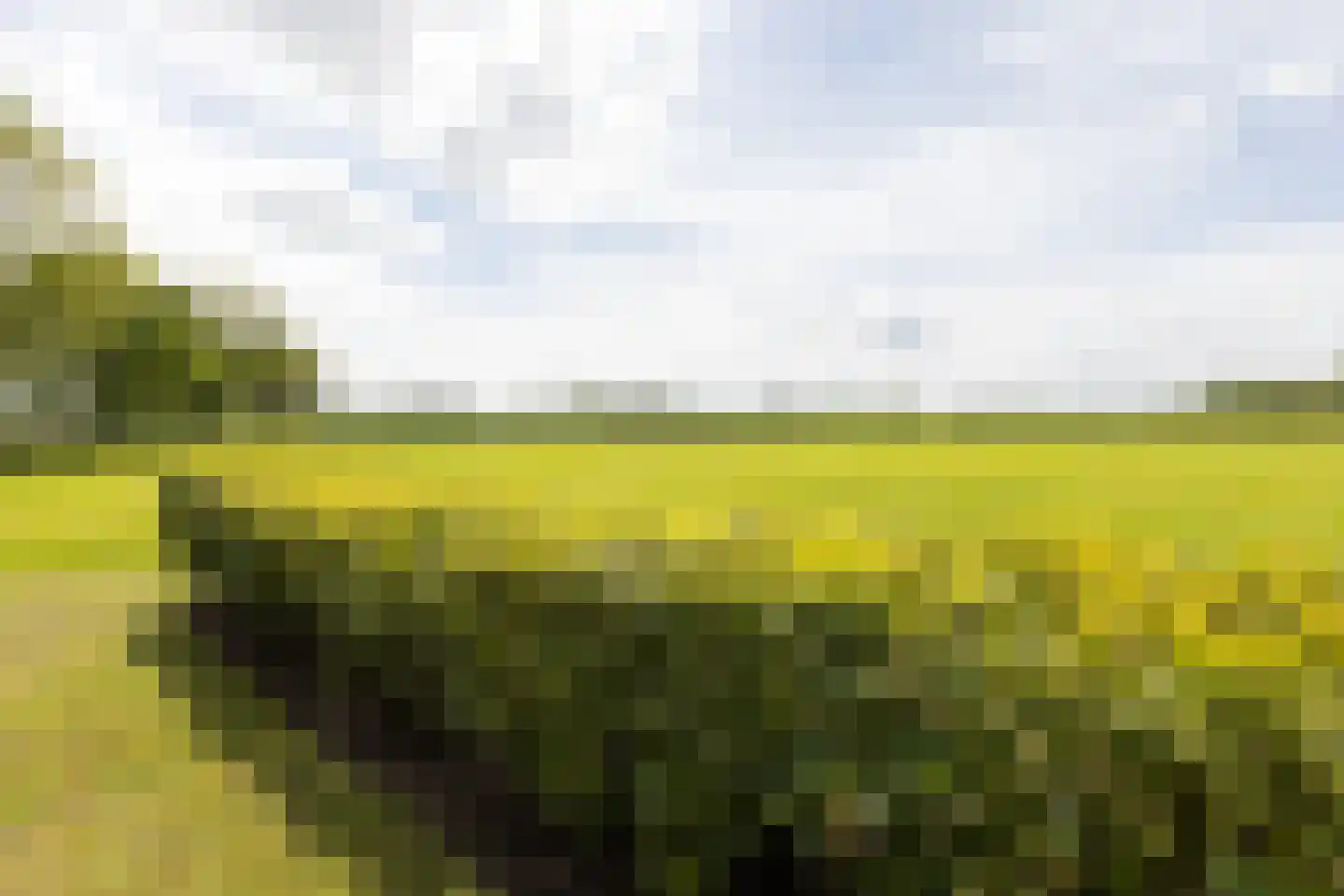 Ruilverkavelingsweg 8 Neede thumbnail 47