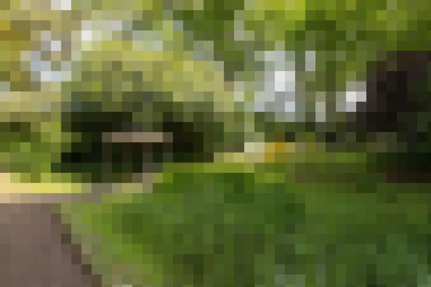 Ruilverkavelingsweg 8 Neede thumbnail 48