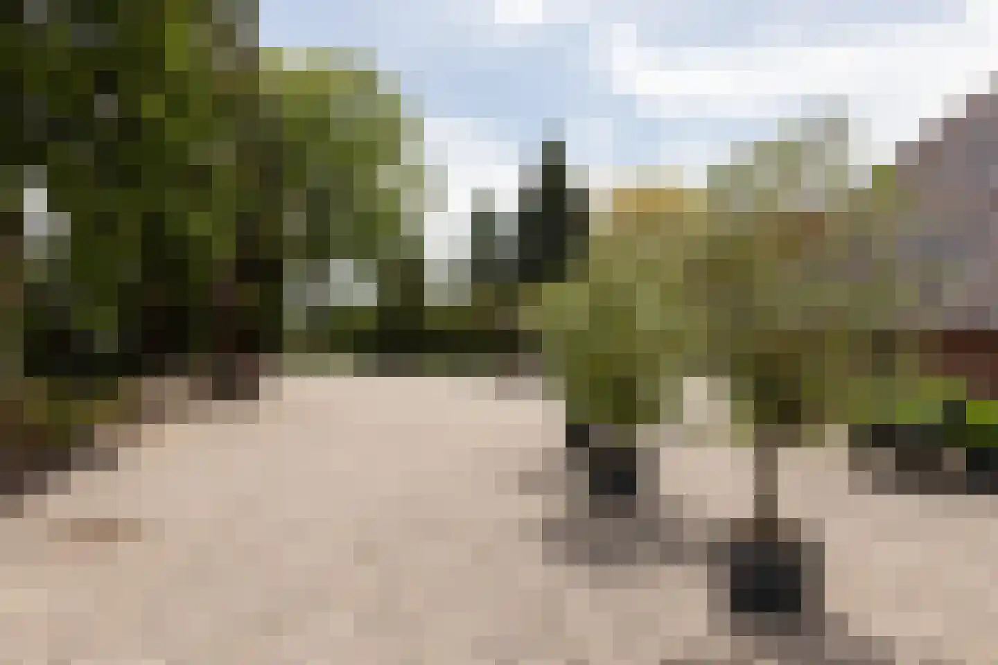 Ruilverkavelingsweg 8 Neede thumbnail 49