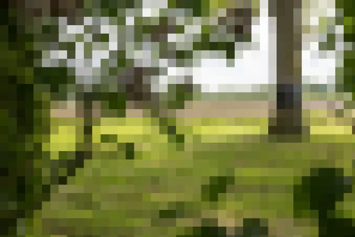 Ruilverkavelingsweg 8 Neede thumbnail 51