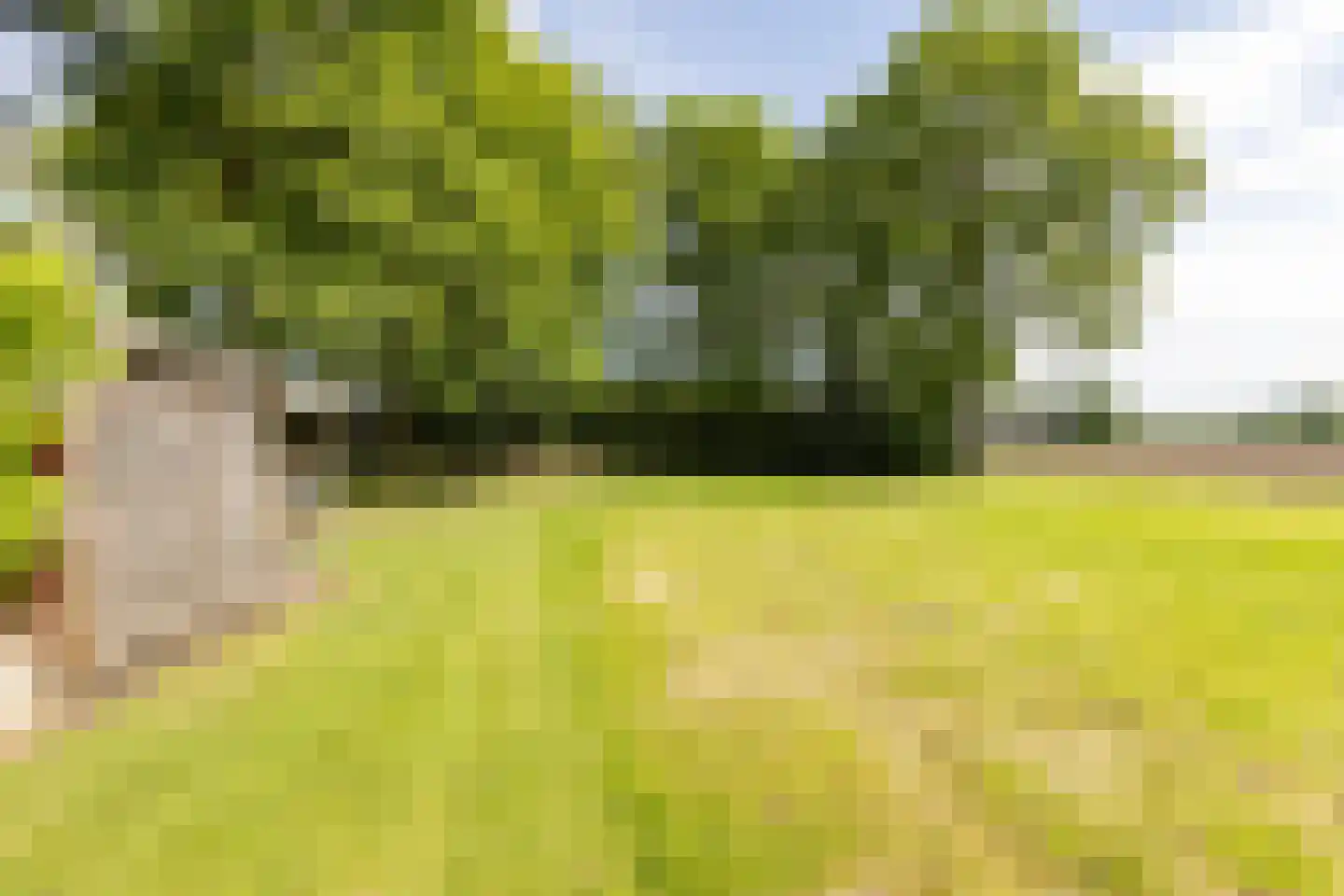 Ruilverkavelingsweg 8 Neede thumbnail 52