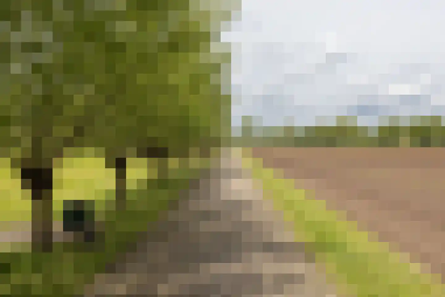 Ruilverkavelingsweg 8 Neede thumbnail 53