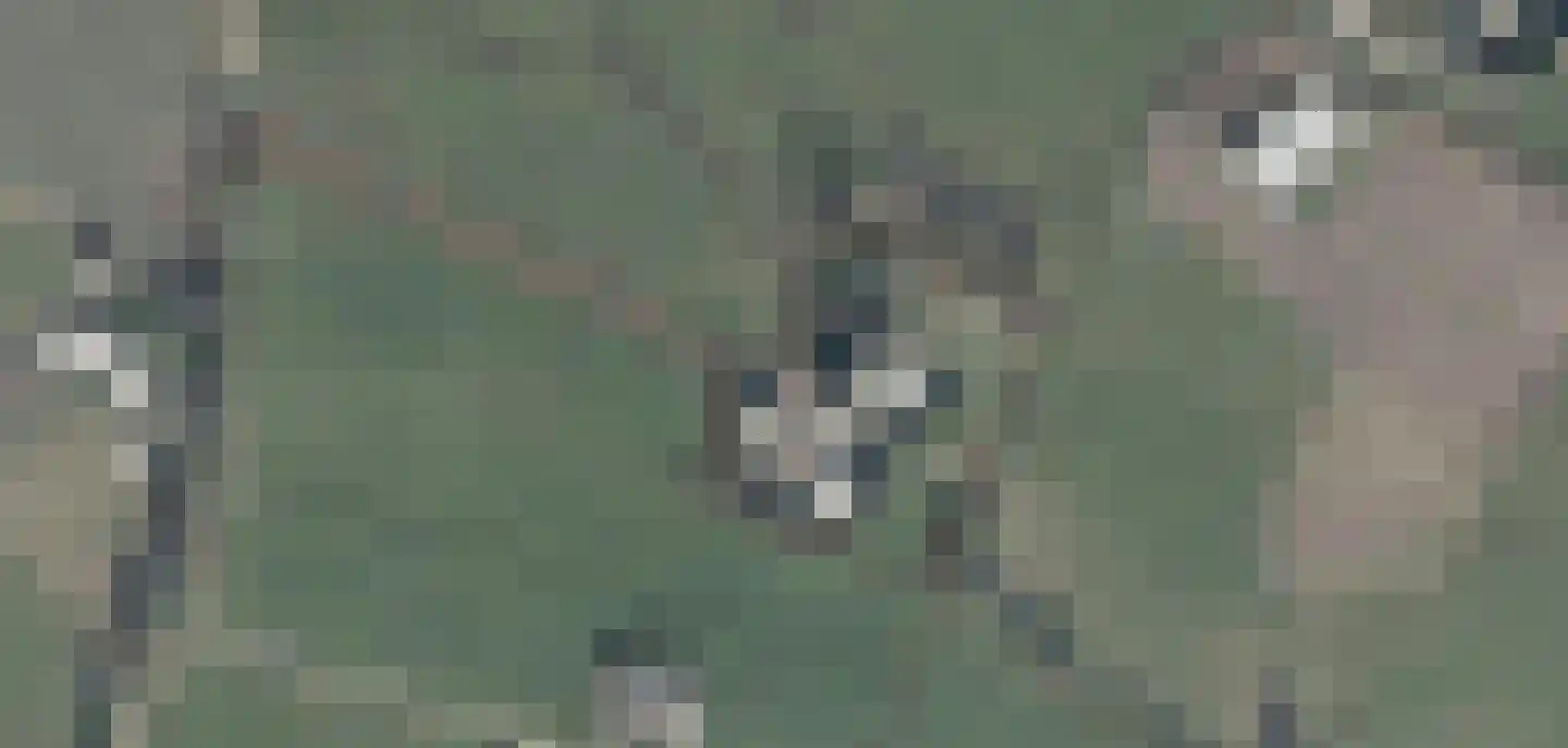 Ruilverkavelingsweg 8 Neede thumbnail 54