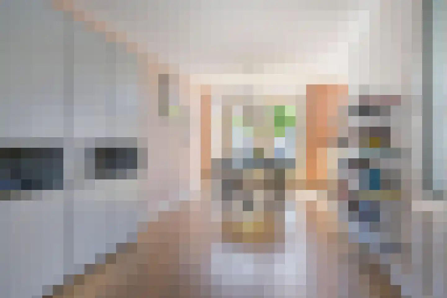Ruimelerf 53 Tilburg thumbnail 10