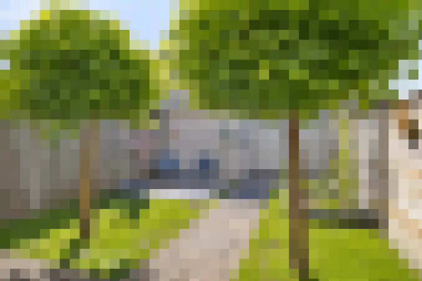 Ruimelerf 53 Tilburg thumbnail 32