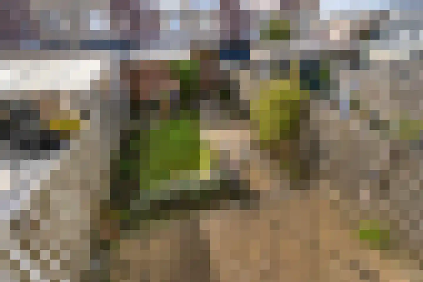Ruimelplein 25 Tilburg thumbnail 39