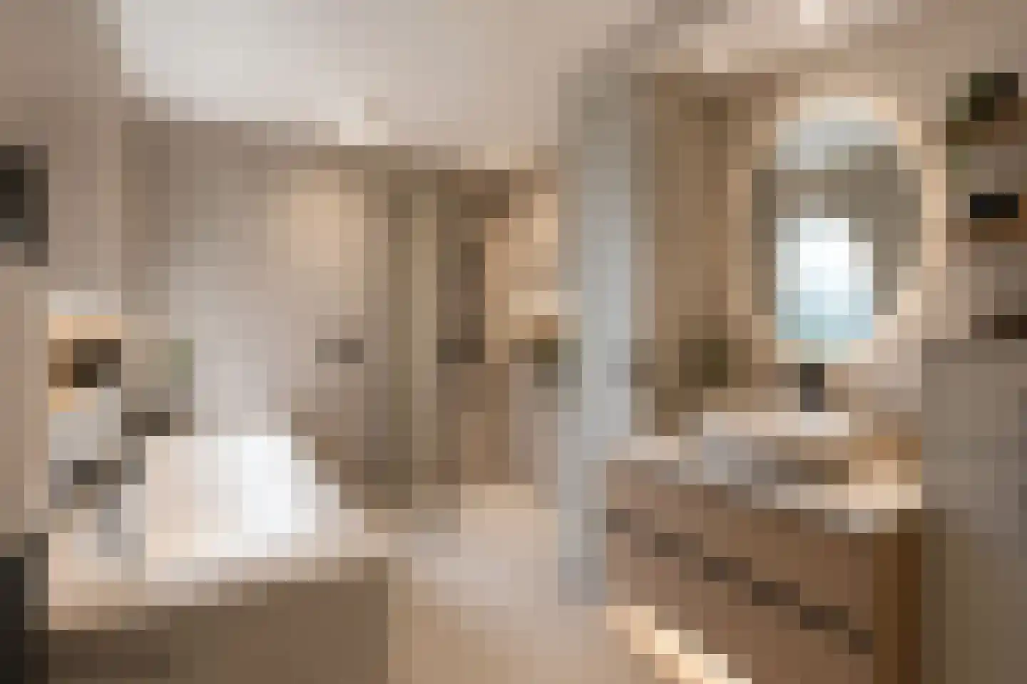 Ruimelsdwarsweg 1 Hierden thumbnail 25