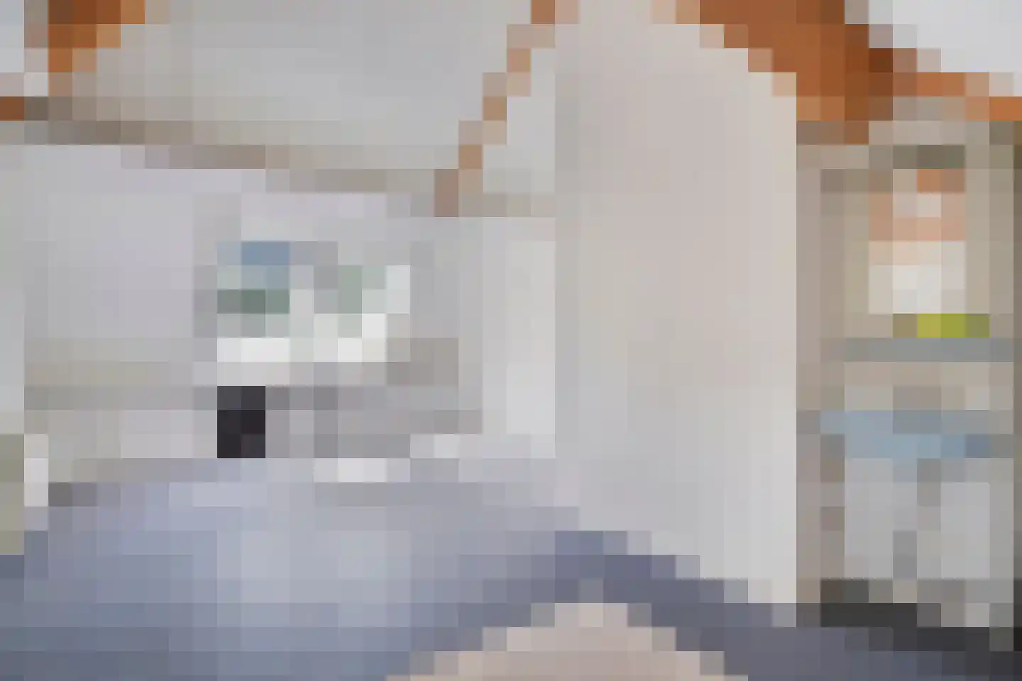 Ruimelsdwarsweg 1 Hierden thumbnail 31