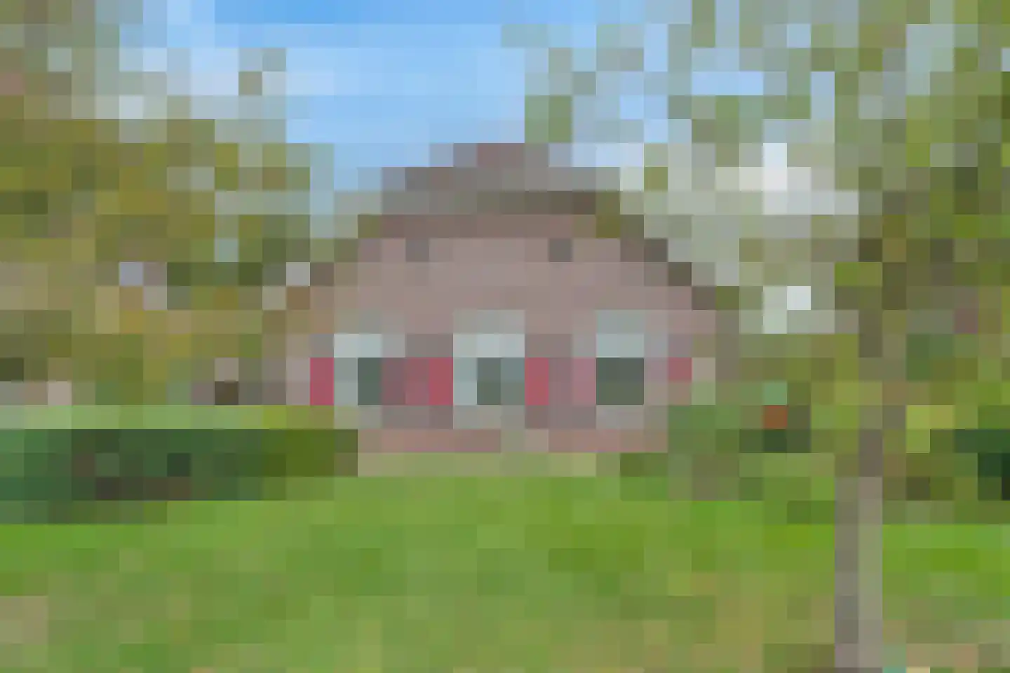 Ruimelsdwarsweg 1 Hierden thumbnail 39
