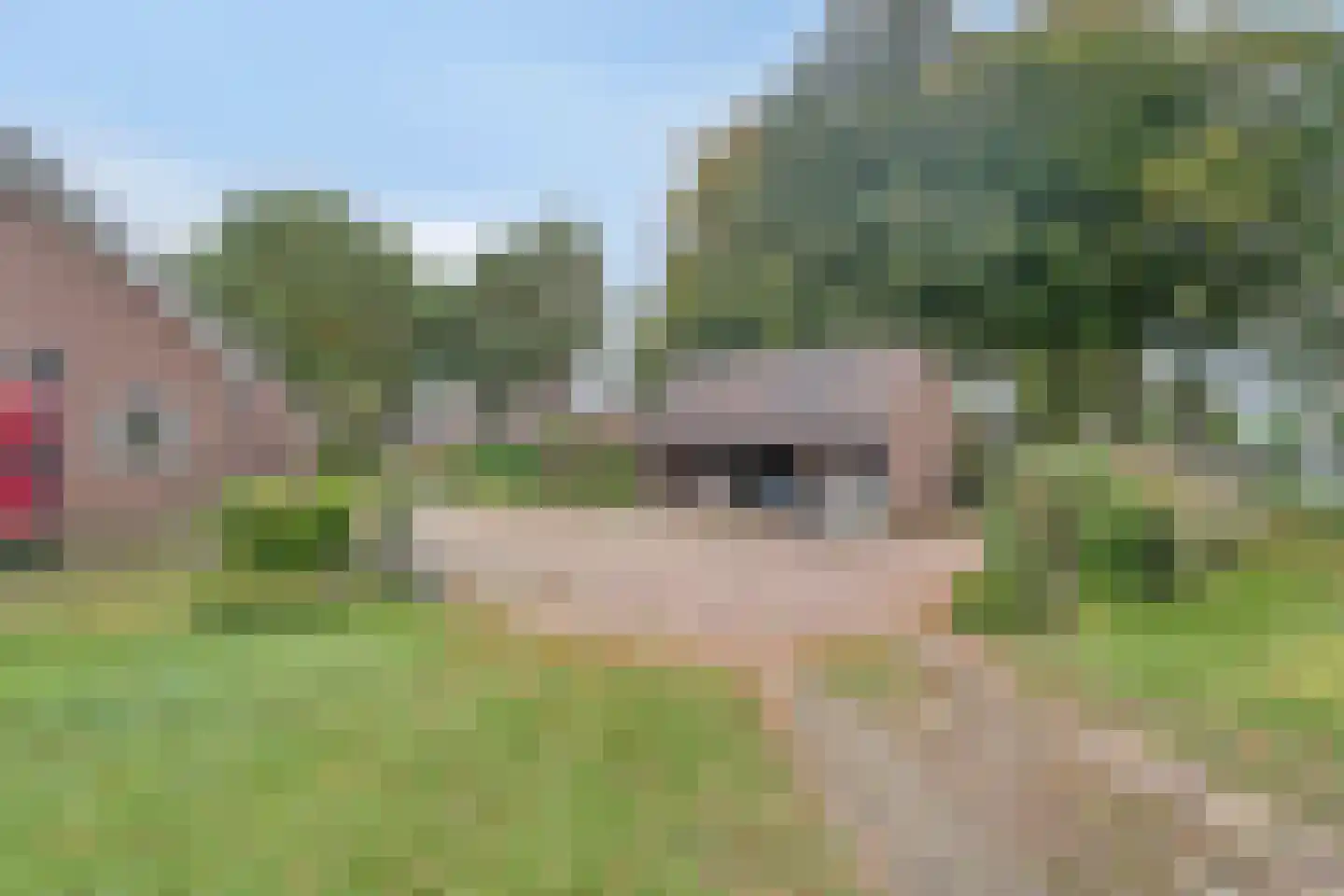 Ruimelsdwarsweg 1 Hierden thumbnail 48