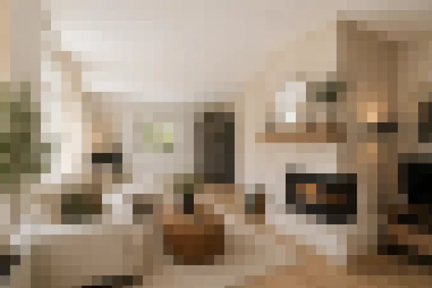 Ruimelsdwarsweg 1 Hierden thumbnail 9