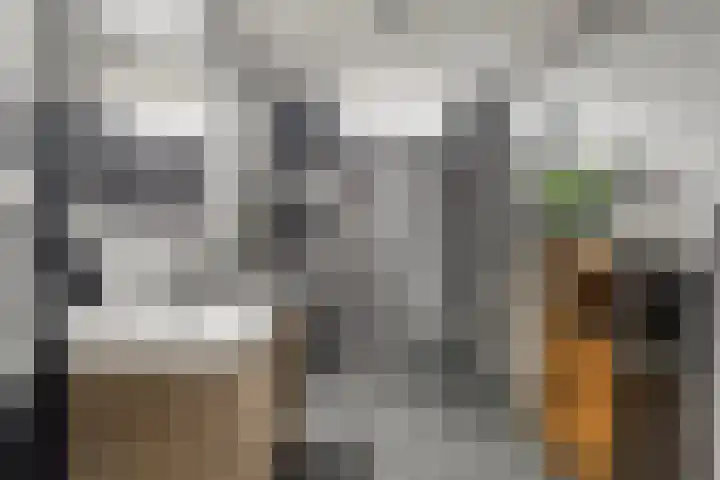 Ruimelsingel 59 Tilburg thumbnail 19