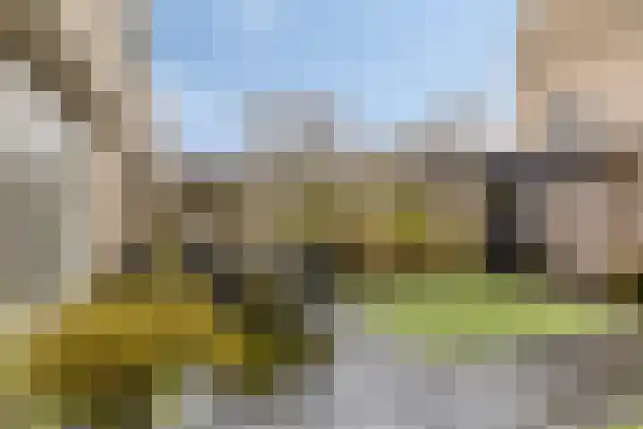 Ruimelsingel 59 Tilburg thumbnail 32