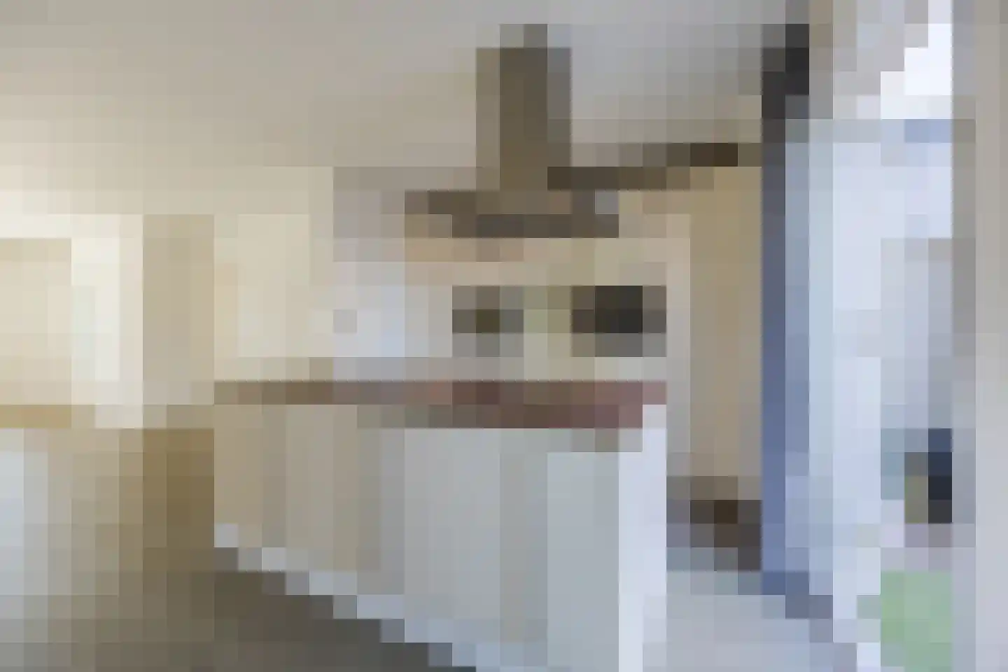 Ruimelsingel 71 Tilburg thumbnail 5